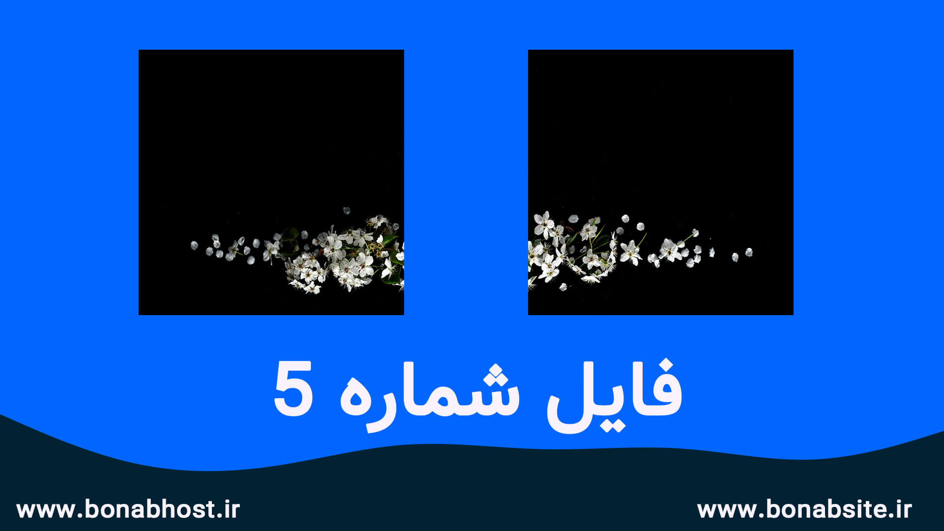 اسلاید تصاویر اینستاگرام