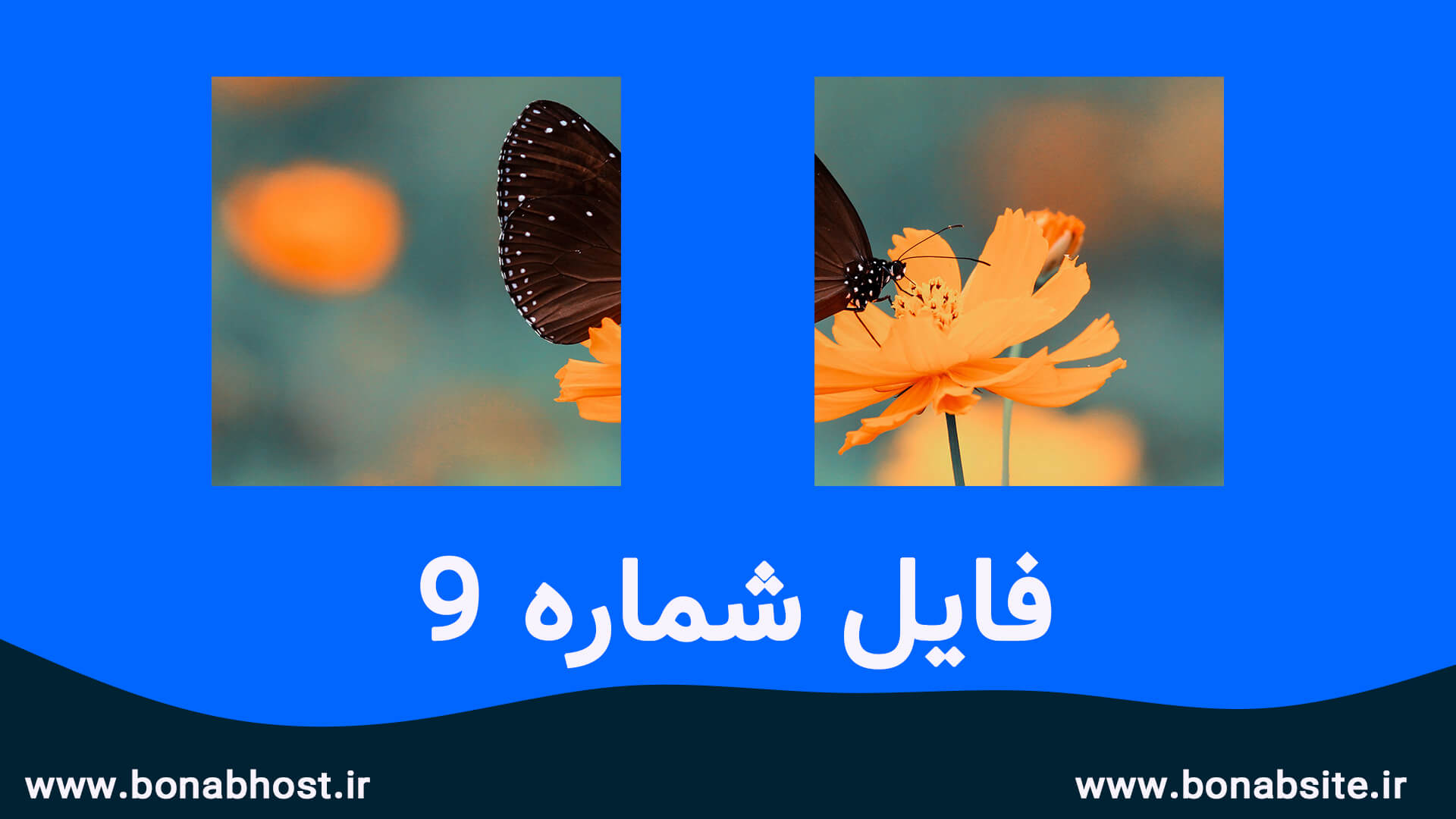 اسلاید تصاویر اینستاگرام
